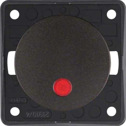 2-poliger Prüfschalter 12V