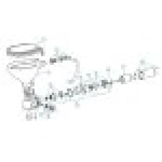 Abfuhrtülle Kunststoff Für Elektrische Toilette, 90°