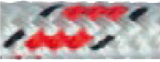 Allcord-18, Doppelt Geflochtene Schotleine, Ø8mm, Weiß Mit Rot/Schwarzem Kennfaden, 200m