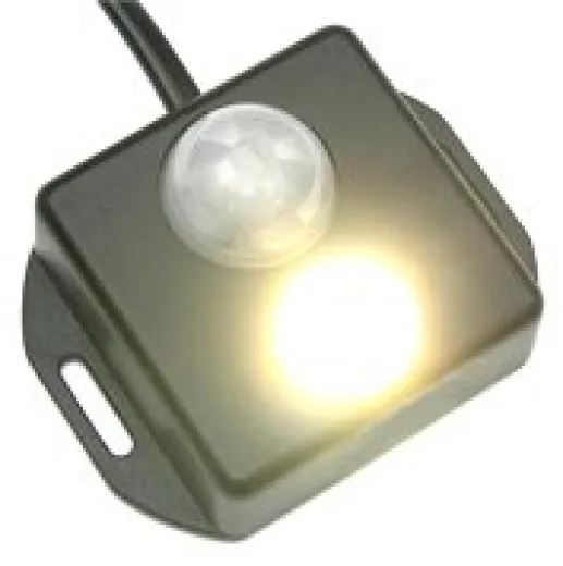 Allpa Brightline Infrarot Bewegungsaktivierter Schalter Modell Pls-1 Pir Dc, 12/24v