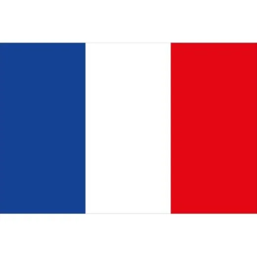 Allpa Französische Flagge 20x30cm