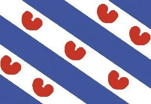 Allpa Friesische Flagge 30x45cm