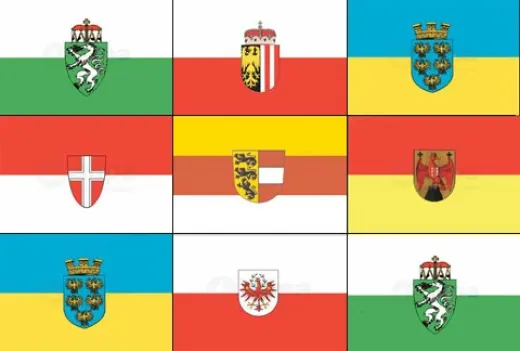 Allpa Kärnten Flagge 20x30cm