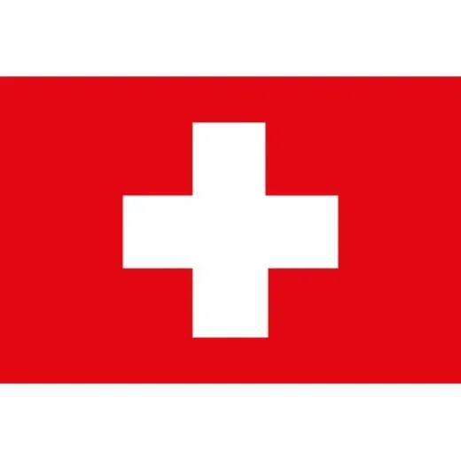 Allpa Schweizer Flagge 40x60cm