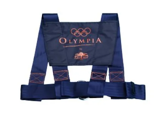 Allpa Sicherheitsgurt Modell Olympia Mit Niro Schnalle & Ring, Brustumfang 800-1200mm, Navy