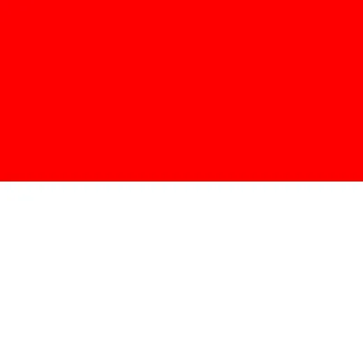 Allpa Solothurn Flagge 20x30cm