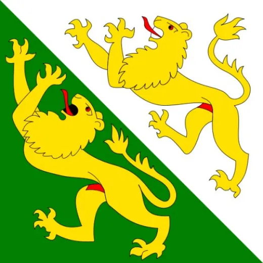 Allpa Thurgau Flagge 20x30cm