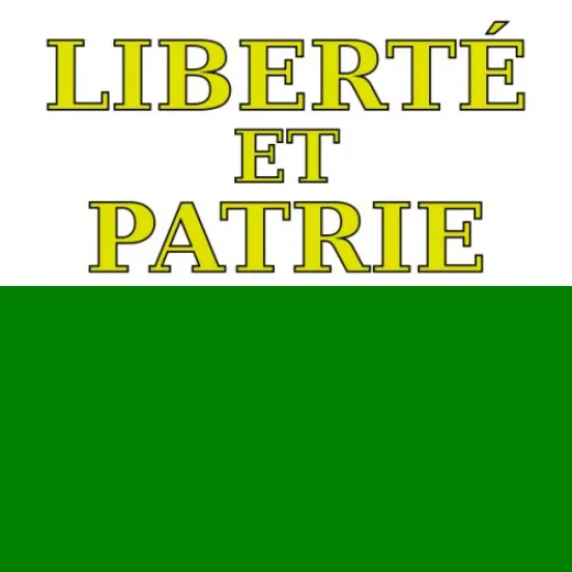Allpa Waadt Flagge 20x30cm