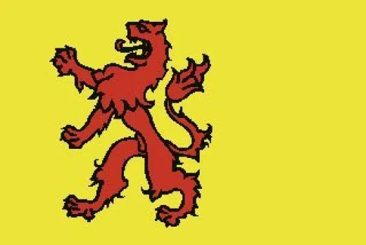 Allpa Zuid Holland Flagge 20x30cm