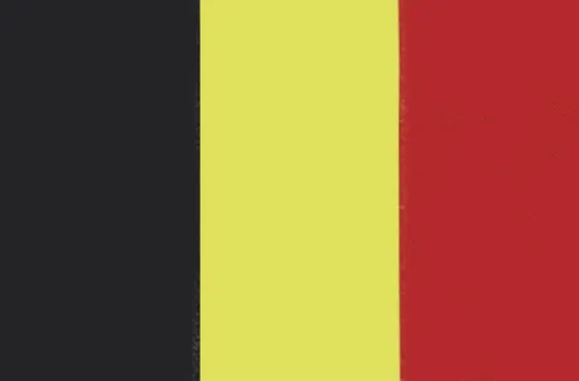 Belgische Flagge 30x45cm