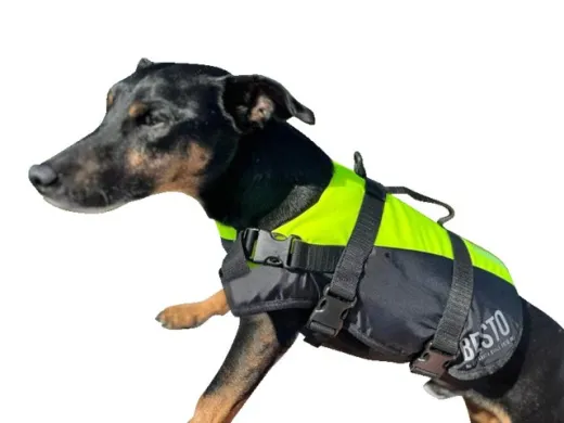 Besto Schwimmweste Hund DeLuxe Yellow/Black 40kg+
