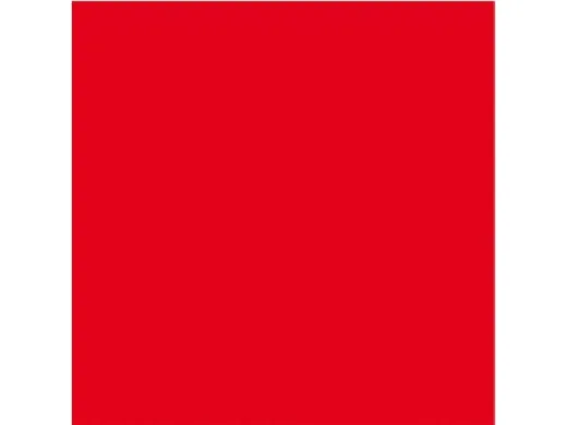 Bodensee Notflagge SB 60x60cm