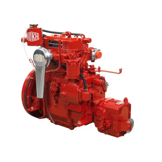 BUKH AS Motor DV24ME HE Untersetzung 25 1
