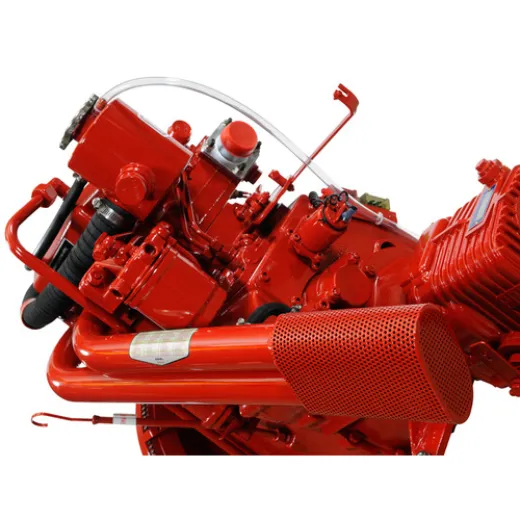 BUKH AS Motor DV29 RME PRM125 31