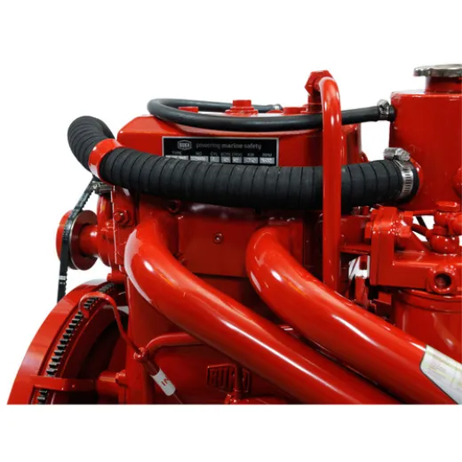 BUKH AS Motor DV29 RME PRM125 31