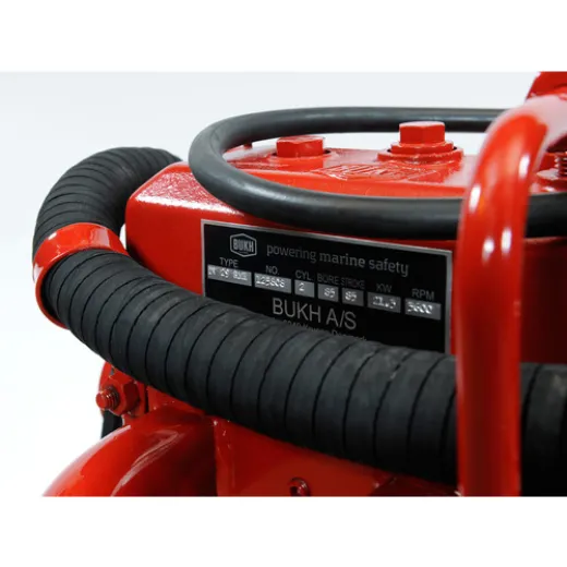 BUKH AS Motor DV29 RME PRM125 31