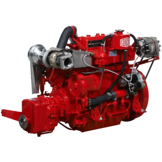 BUKH AS Motor DV48ME HE Untersetzung 251