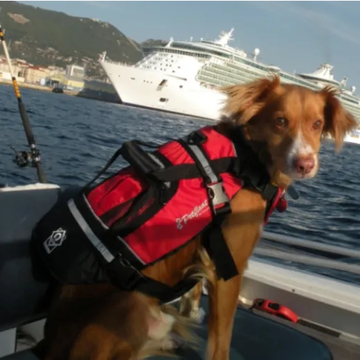 Crewsaver Crewsaver Hundeweste Größe L 2370-L