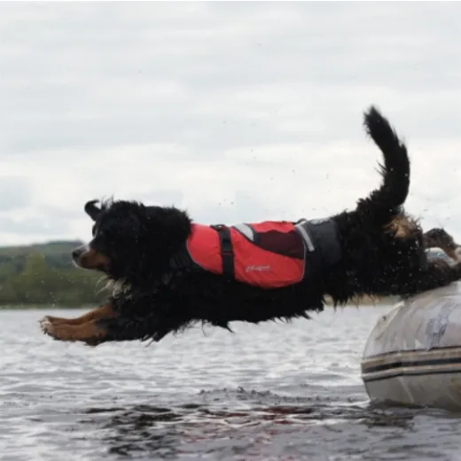 Crewsaver Crewsaver Hundeweste Größe L 2370-L