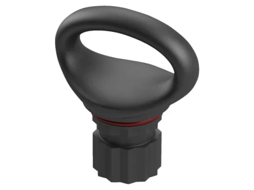 Fasten RM273 ovale Öse