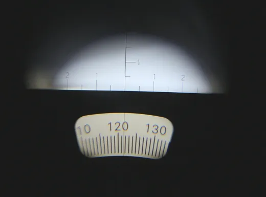Fernglas 7x50 gelb/schwarz inkl. Compass