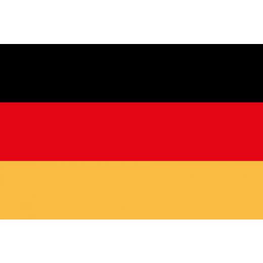 Flagge 20 x 30 cm EUROPA mit Deutschlandfl. SB