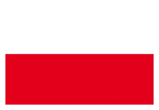 Flagge 30 x 45 cm THÜRINGEN