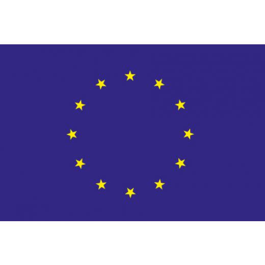 Flagge 60 x 90 cm EUROPA mit Deutschlandflagge