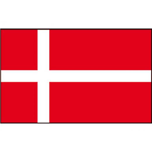 Flagge SB Dänemark 20x30cm