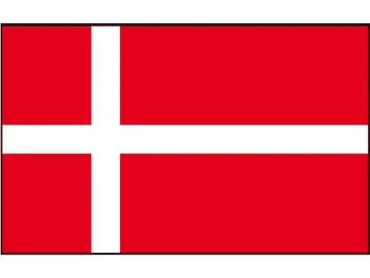 Flagge SB Dänemark 20x30cm