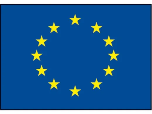 Flagge SB Europarat 50x75cm