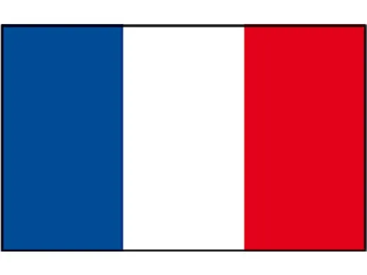 Flagge SB Frankreich 20x30cm