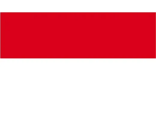 Flagge SB Hessen 20x30cm