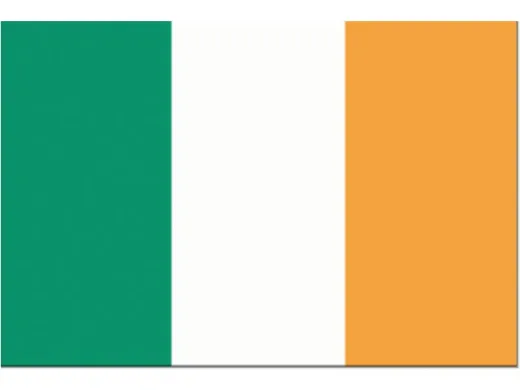 Flagge SB Irland 20x30cm