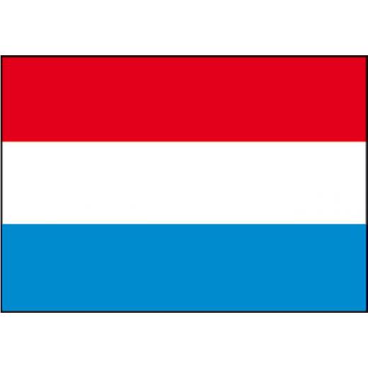 Flagge SB Niederlande 30x45cm