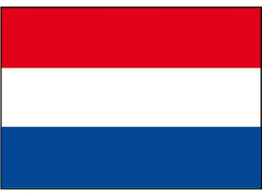 Flagge SB NL Klassik 2x3m