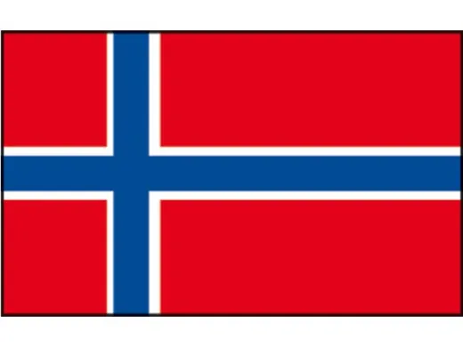 Flagge SB Norwegen 20x30cm