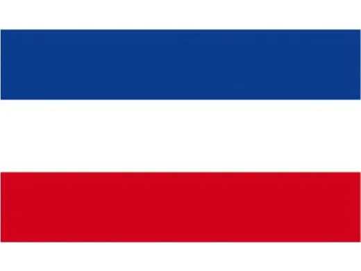 Flagge SB Schleswig-Holstei 30x45cm