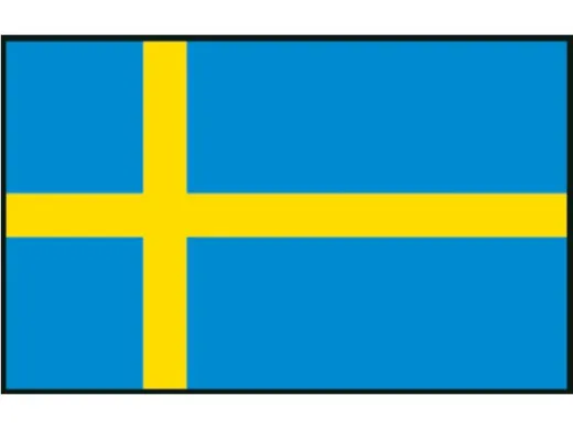 Flagge SB Schweden 20x30cm