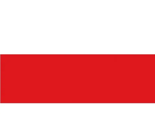 Flagge SB Thüringen 30x45cm