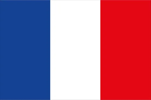 Französische Flagge 20x30cm