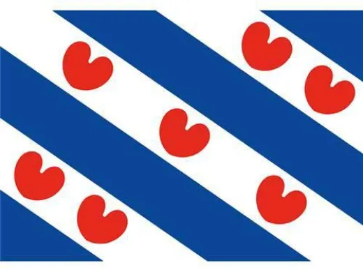 Friesische Flagge - 70 x 100 cm