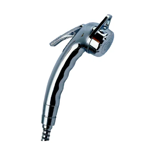 Handdusche Charisma (Chrom)