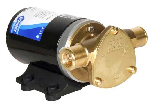 Jabsco Junior-Welpen