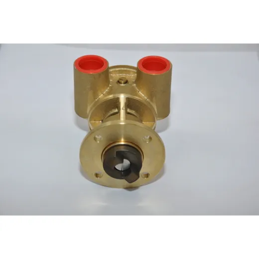 Johnson Impellerpumpe F5B-9