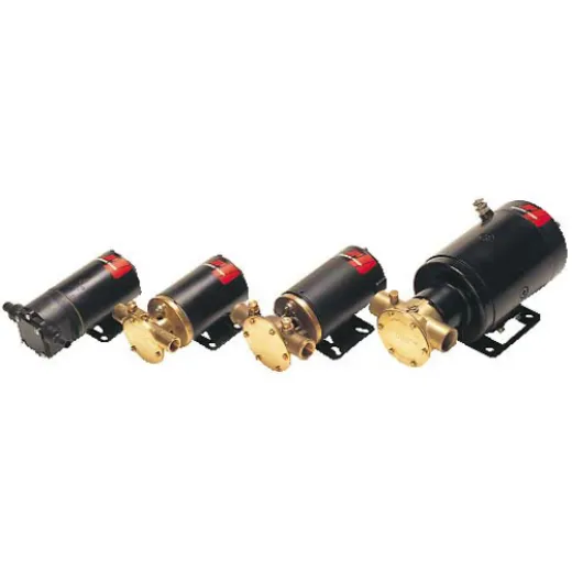 Johnson Impellerpumpe F5B1924V 55 lmin
