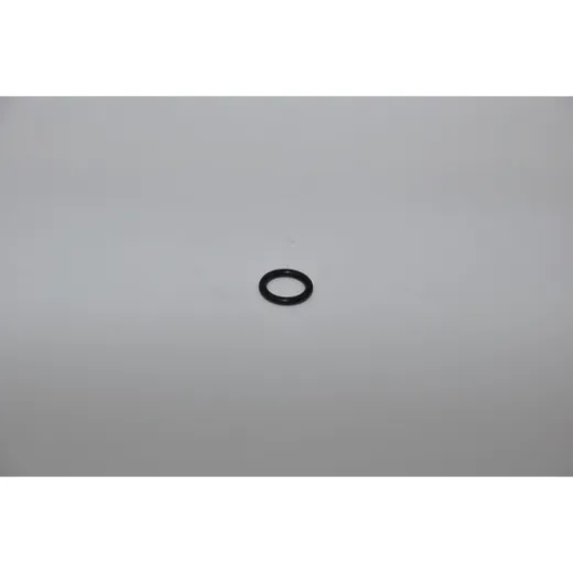 Johnson O-Ring (05-06-513)
