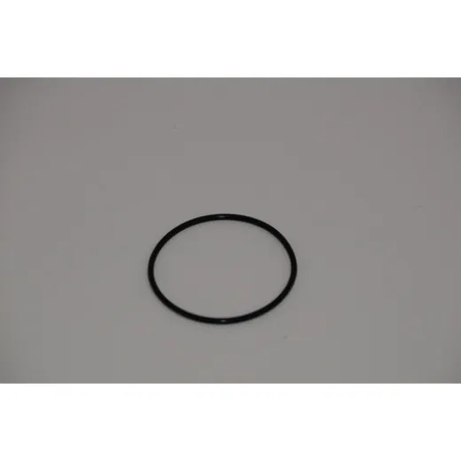 Johnson O-Ring (05-06-590)