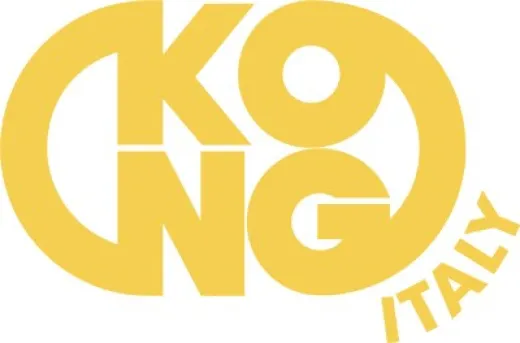 KONG Karabinerhaken asymm. AISI316 80mm