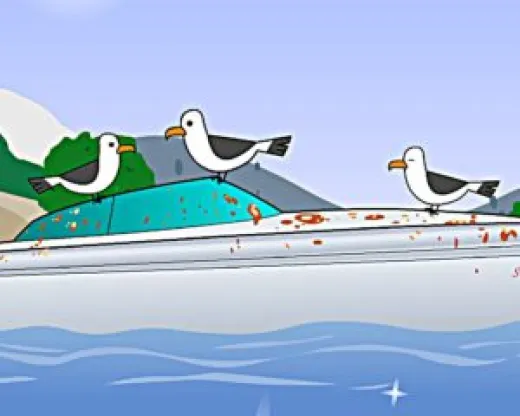Möwenschutz 1.5m für Motor + Segelboote